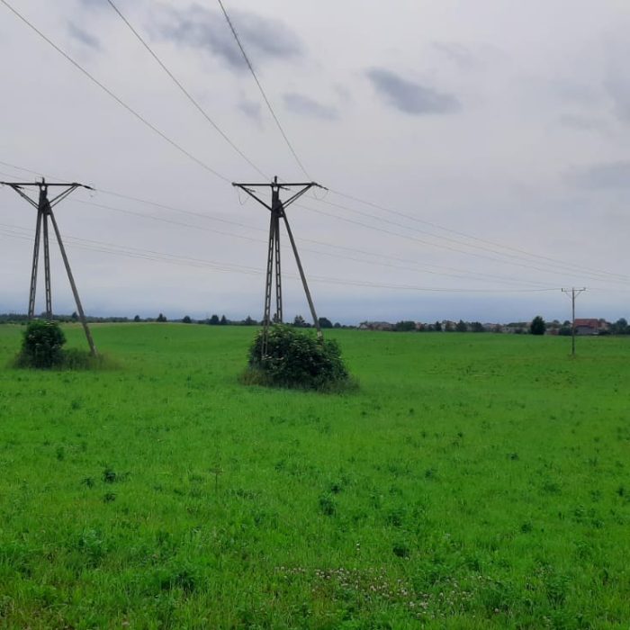 PHOTO-2021-06-25-12-36-07